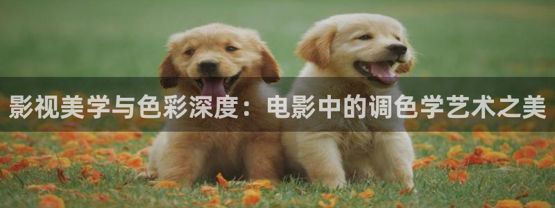 光棍影院111yyy