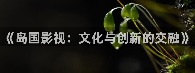 光棍影院艳母